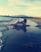 Анкета проститутки Римма - метро Бибирево, возраст - 21